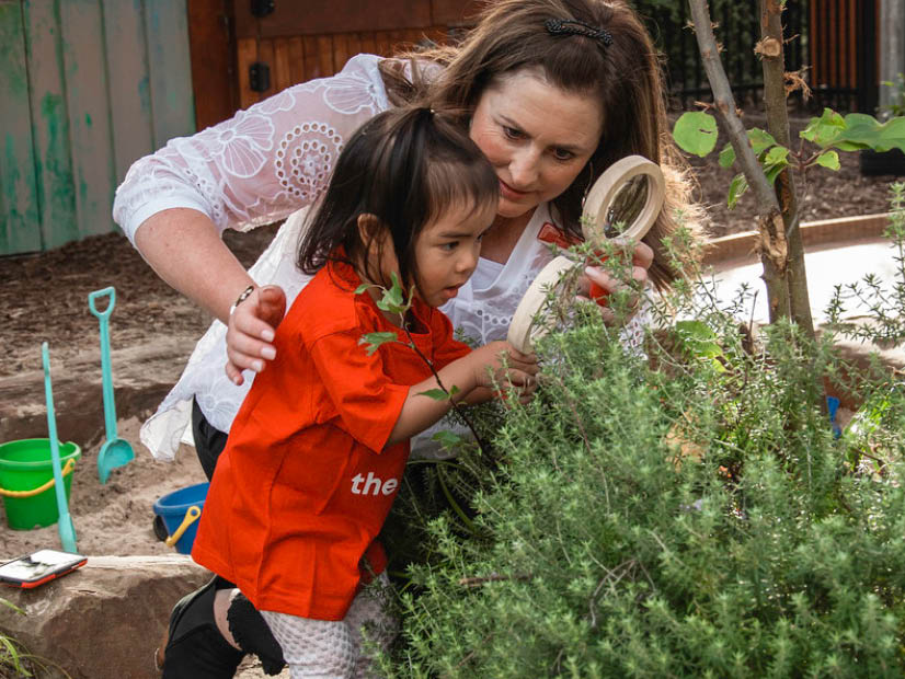 Preschool child looking at plant